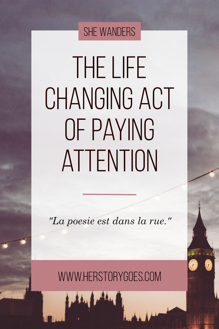 The Life-Changing Act of Paying Attention — Her Story Goes.